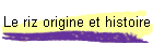 Le riz origine et histoire